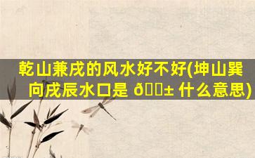 乾山兼戌的风水好不好(坤山巽向戌辰水口是 🐱 什么意思)
